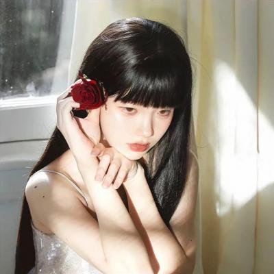 泰迪熊