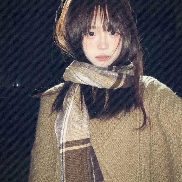 金牌拳手：父仇